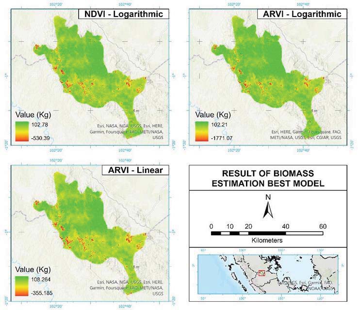 Biomass Stock Estimation Using Landsat 8 Imagery in Bukit Tigapuluh National Park, Riau